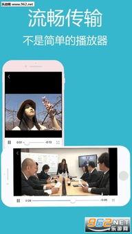 无需播放器视频国产,探索无需播放器的国产视频新体验