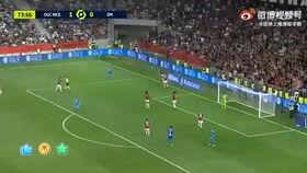 巴西队今日韩国训练视频,巴西队韩国训练场展现精湛技艺